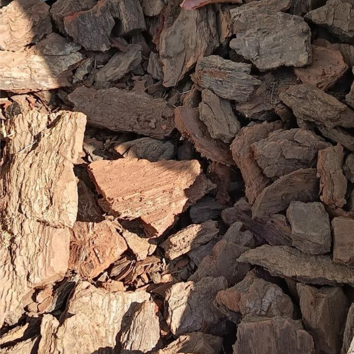 Corteza de Pino gruesa natural - FVH