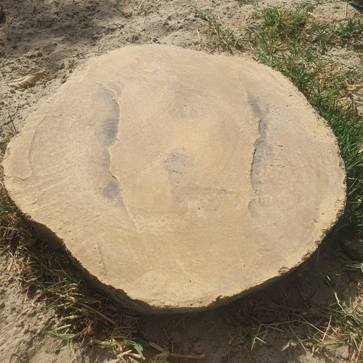 Huellas de concreto | Complementarios para tu jardín - FVH